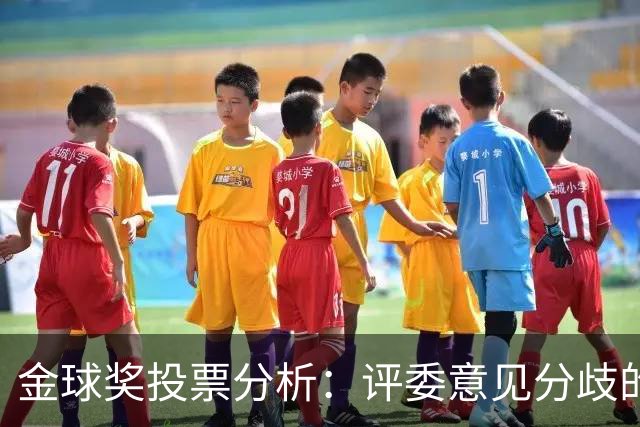 金球奖投票分析：评委意见分歧的现象及其影响
